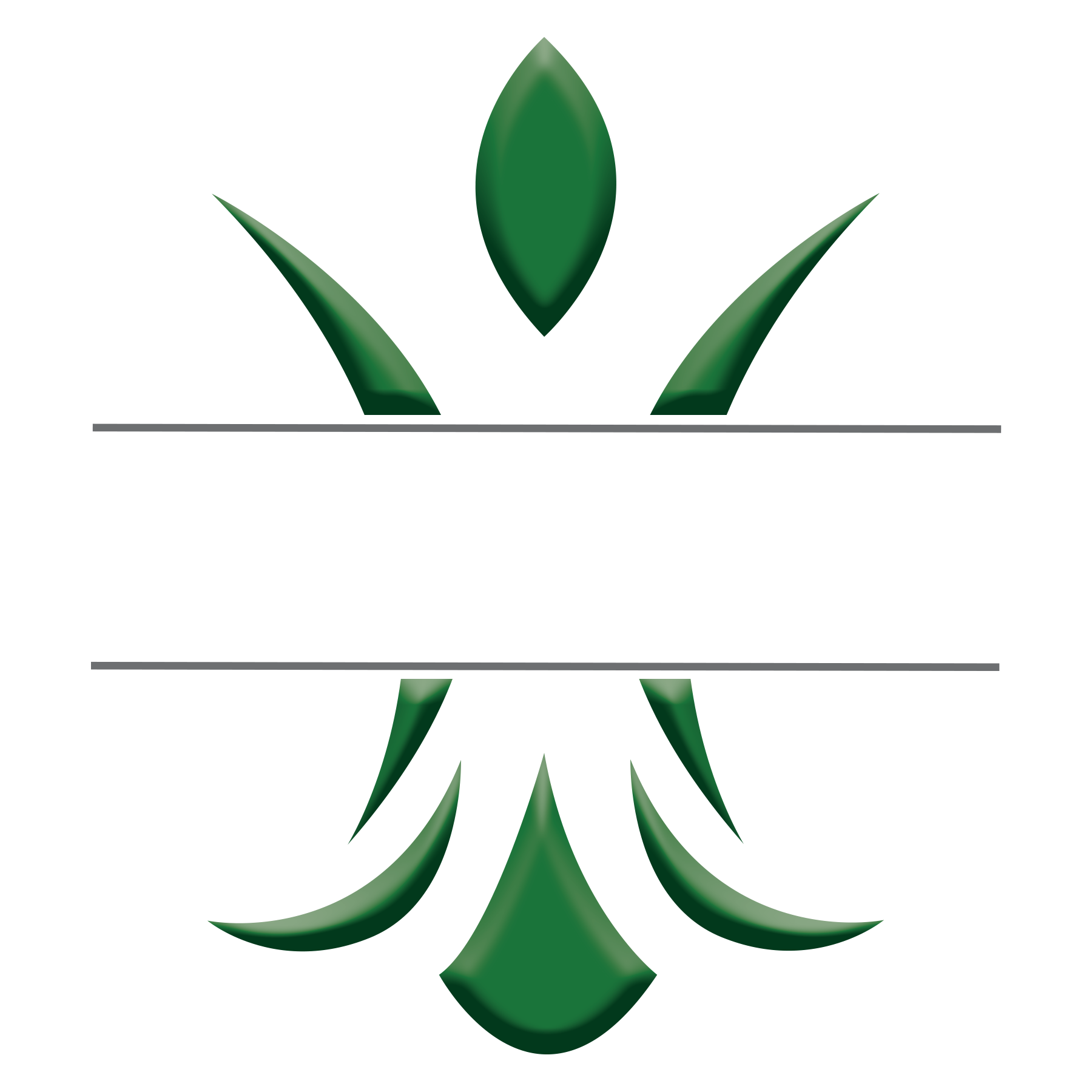 Zimple Development